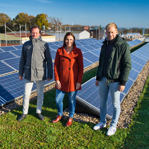 Zwei Männer und eine Frau stehen auf einem begrünten Dach mit Photovoltaik